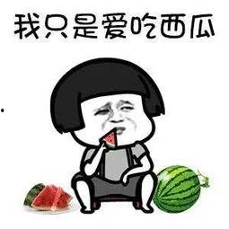 娱乐圈吃瓜的梗叫什么名字